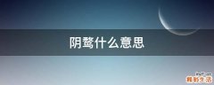 阴鹜什么意思