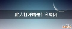 胖人打呼噜是什么原因