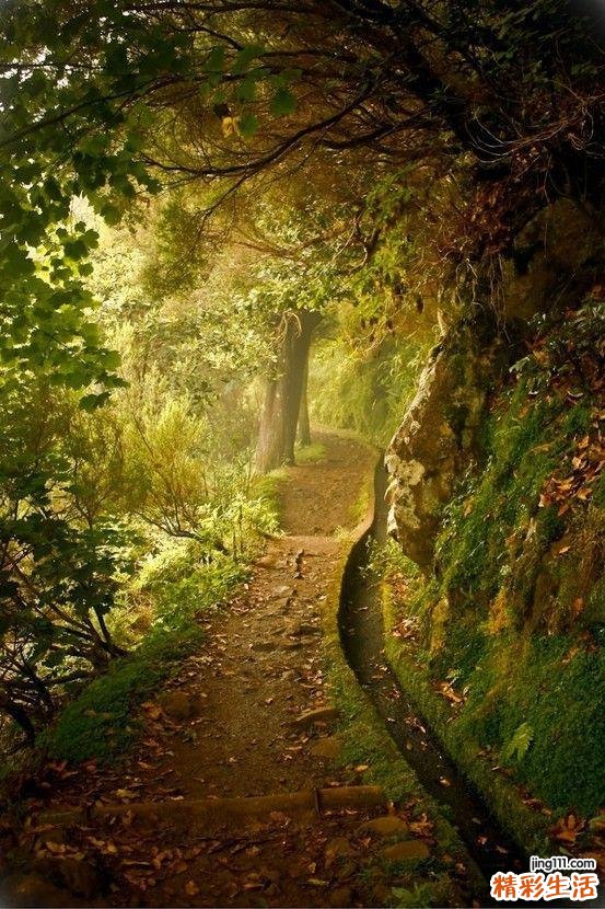 趾键筋膜炎的症状