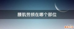 腰肌劳损在哪个部位