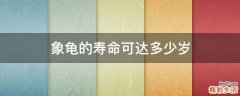 象龟的寿命可达多少岁