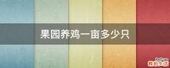 果园养鸡一亩多少只