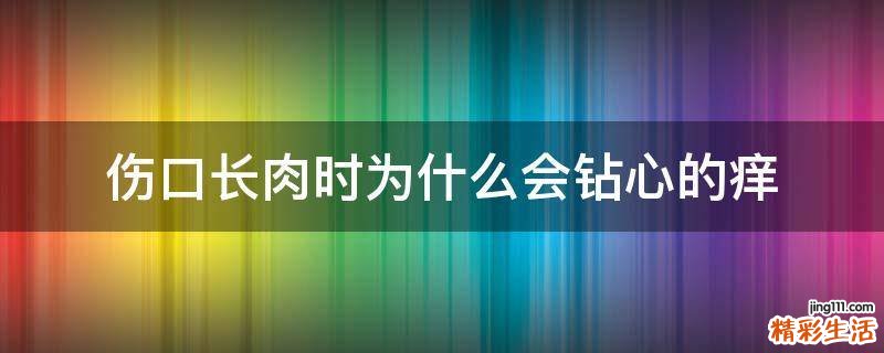 伤口长肉时为什么会钻心的痒
