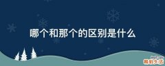 哪个和那个的区别是什么