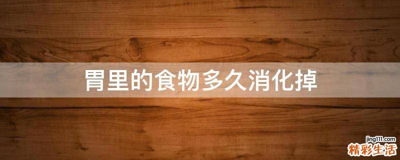 胃里的食物多久消化掉