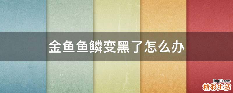 金鱼鱼鳞变黑了怎么办