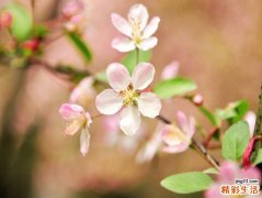 孩子固执的原因