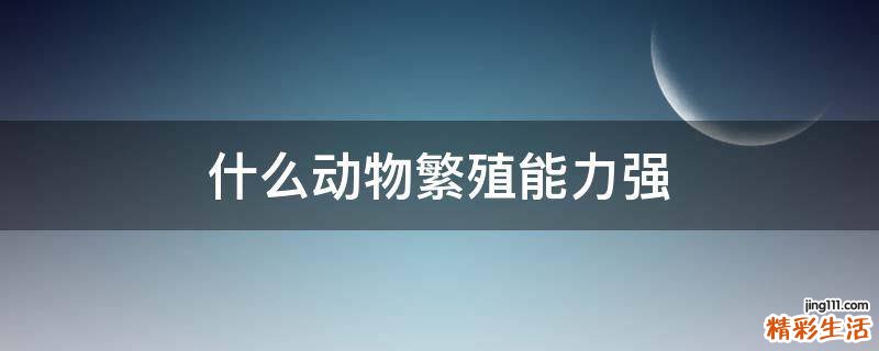 什么动物繁殖能力强