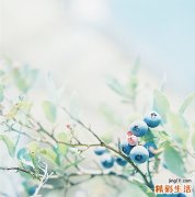 生儿子前做什么准备