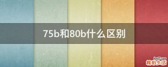 75b和80b什么区别