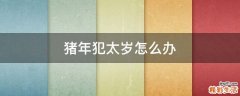 猪年犯太岁怎么办