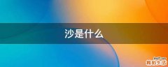 沙是什么