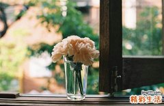 什么情况下要顺转剖