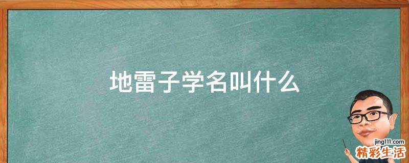 地雷子学名叫什么