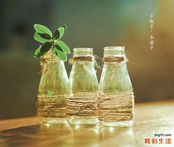 武术养生之道教回春养生功