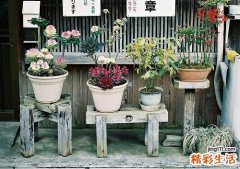 老年痴呆怎么照顾