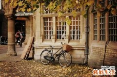 亚麻子的功效与作用_亚麻子的药用价值