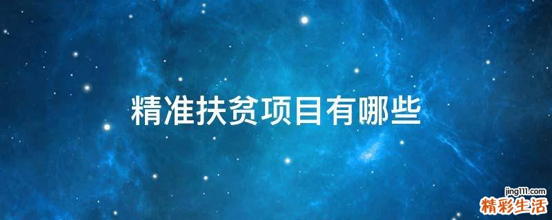 精准扶贫项目有哪些