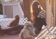 牵牛子的功效与作用_牵牛子的药用价值