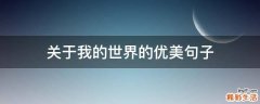 关于我的世界的优美句子