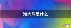 泡大珠是什么