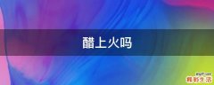 醋上火吗