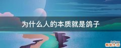 为什么人的本质就是鸽子