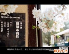 上班族颈椎痛怎么办