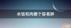米饭和肉哪个容易胖