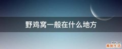 野鸡窝一般在什么地方