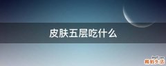 皮肤五层吃什么