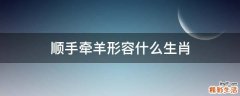 顺手牵羊形容什么生肖