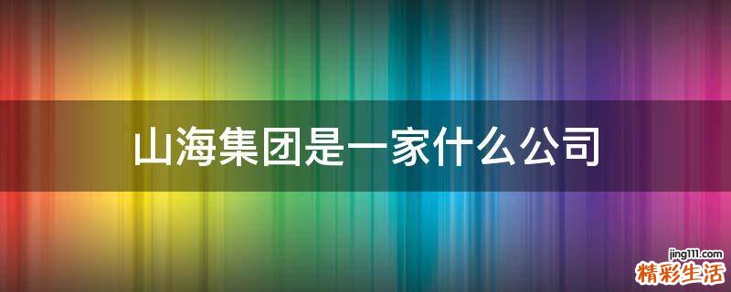 山海集团是一家什么公司