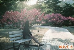 3 太极拳要怎样练才好