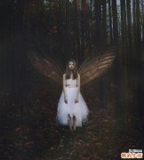 止咳养肺吃什么好