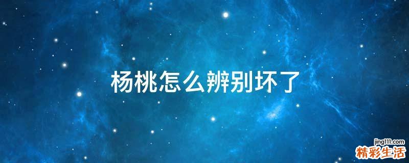杨桃怎么辨别坏了