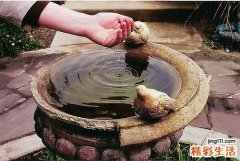 5 武术养生之基本功练法