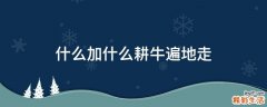什么加什么耕牛遍地走