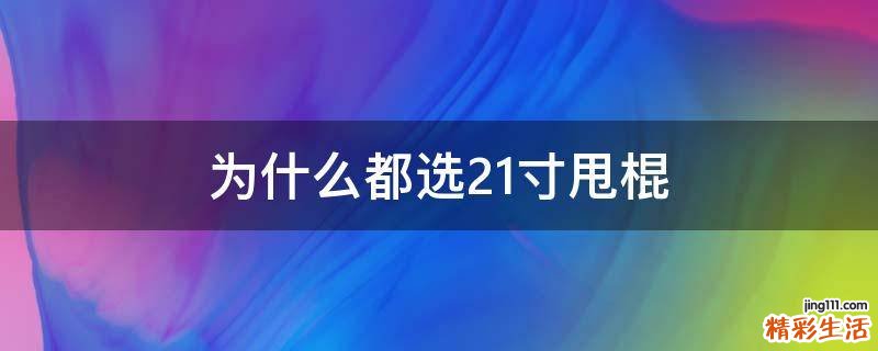为什么都选21寸甩棍