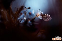 乙肝如何提高免疫力