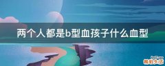 两个人都是b型血孩子什么血型
