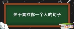 关于喜欢你一个人的句子