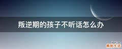 叛逆期的孩子不听话怎么办