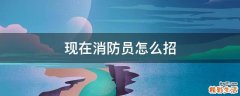现在消防员怎么招