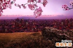 中医美容养颜秘方