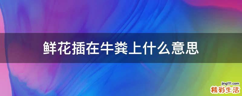 鲜花插在牛粪上什么意思