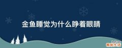 金鱼睡觉为什么睁着眼睛