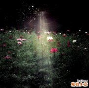 哪个季节适合怀孕