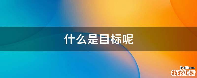 什么是目标呢
