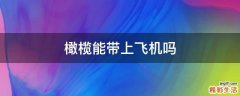 橄榄能带上飞机吗